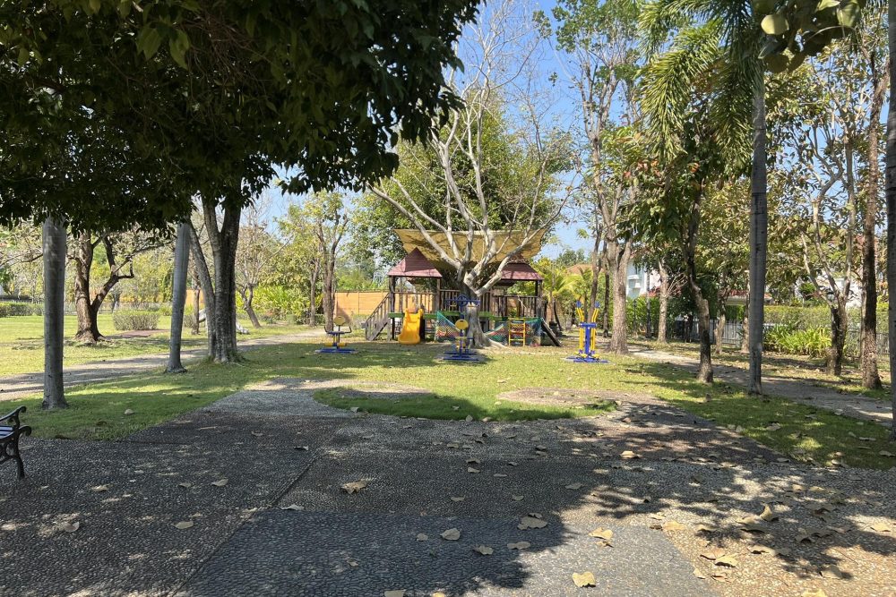 624696413_1177790544158807_8873534146695501153_n