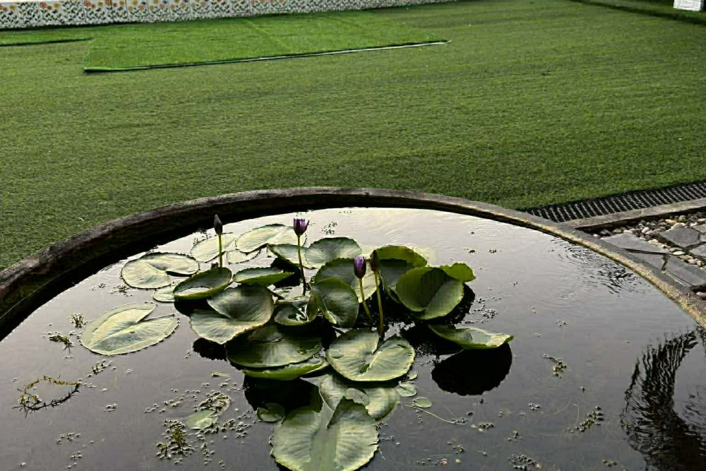 632086144_768688699643821_761946575448603430_n