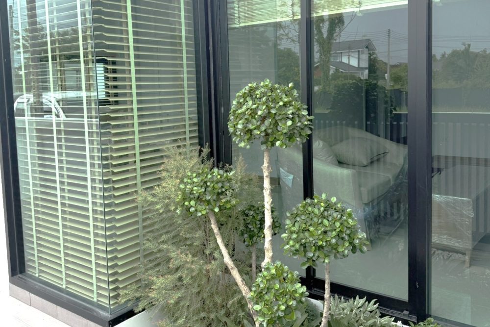 GYvu8KpA7NWnCQjHpPAr5ZnZsmRRYZnLB53PHdSvpNJLgzVsmp-Yuu9GkX8IKgVLdCviGwGiemEVxmWupe_sJOy1tJd2m_nO0uK5BghpfIc6zCUpioVH8aURND-py3iPPGAWgRoNfwFFSQkqTkXAuA==