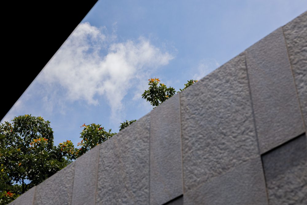 IMG_5575