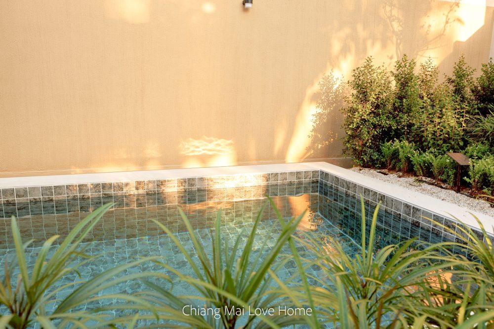 LINE_ALBUM_Pimuk 4_251224_26