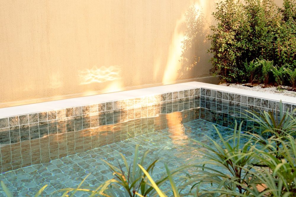 LINE_ALBUM_Pimuk 4_251224_28