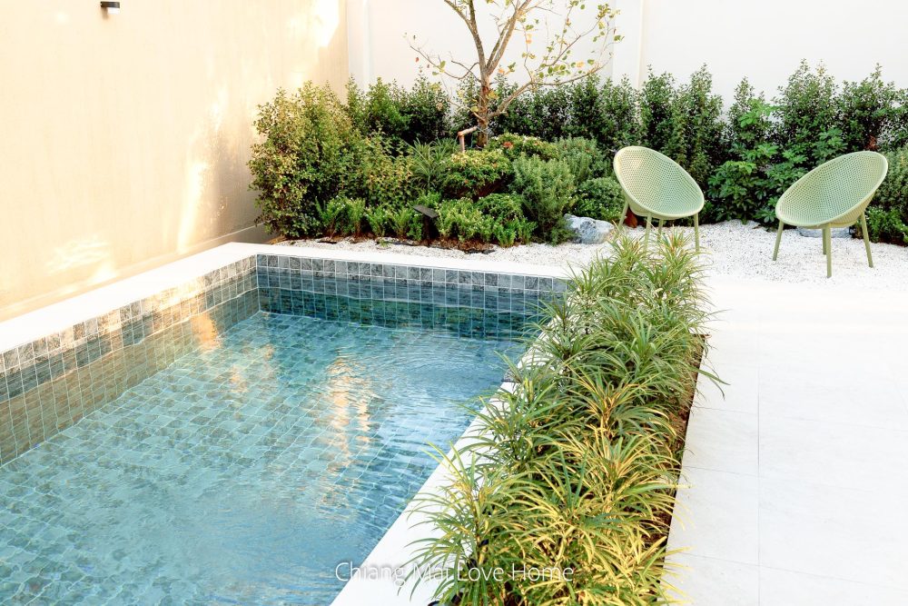 LINE_ALBUM_Pimuk 4_251224_29