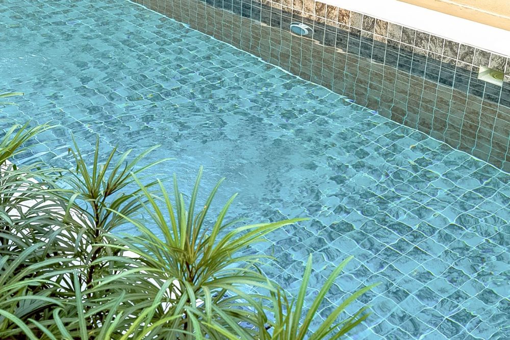 LINE_ALBUM_Pimuk 4_251224_32