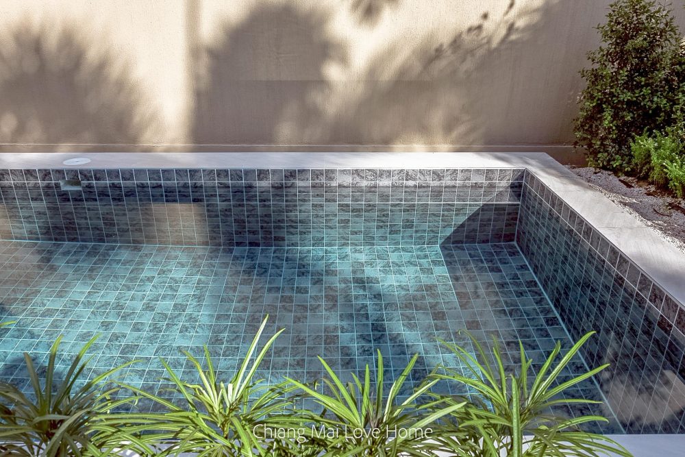 LINE_ALBUM_Pimuk 4_251224_94