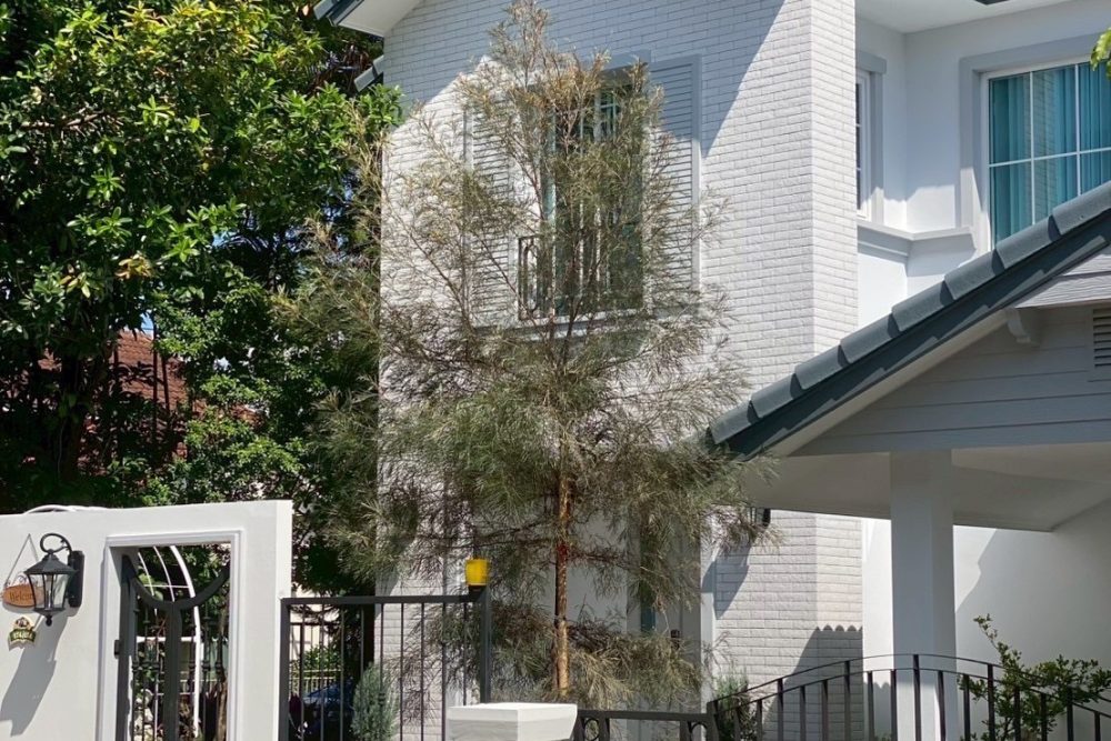 line_oa_chat_260126_160435_group_2